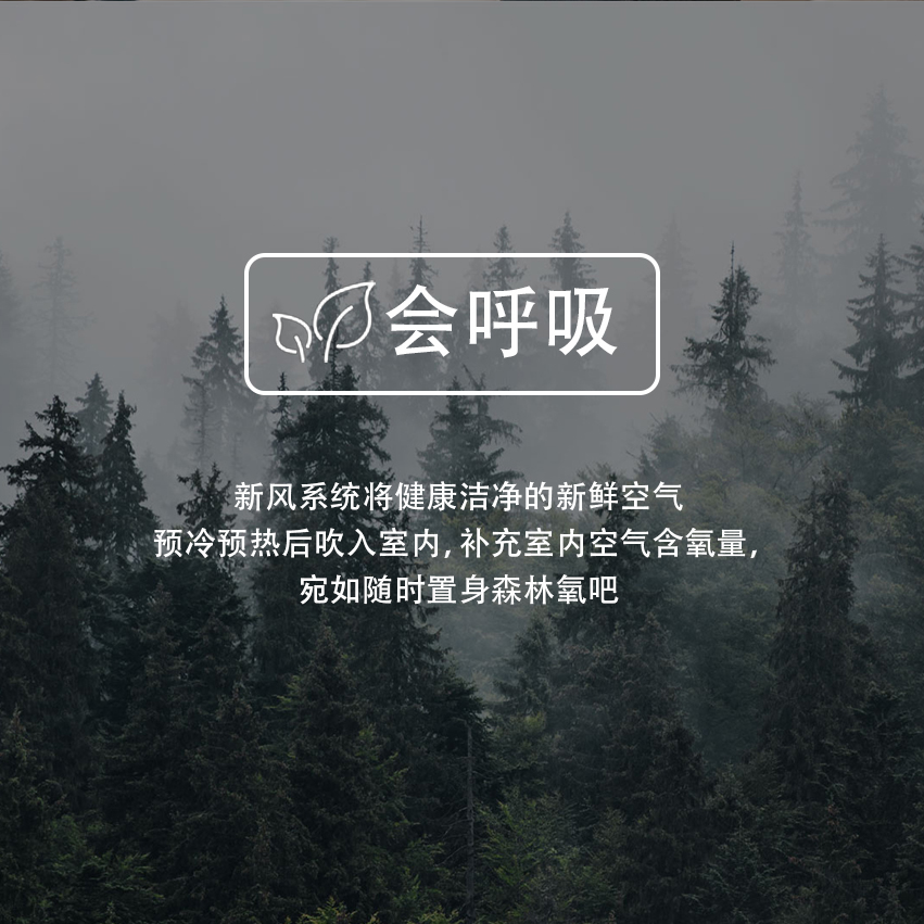 1650466653142435.jpg