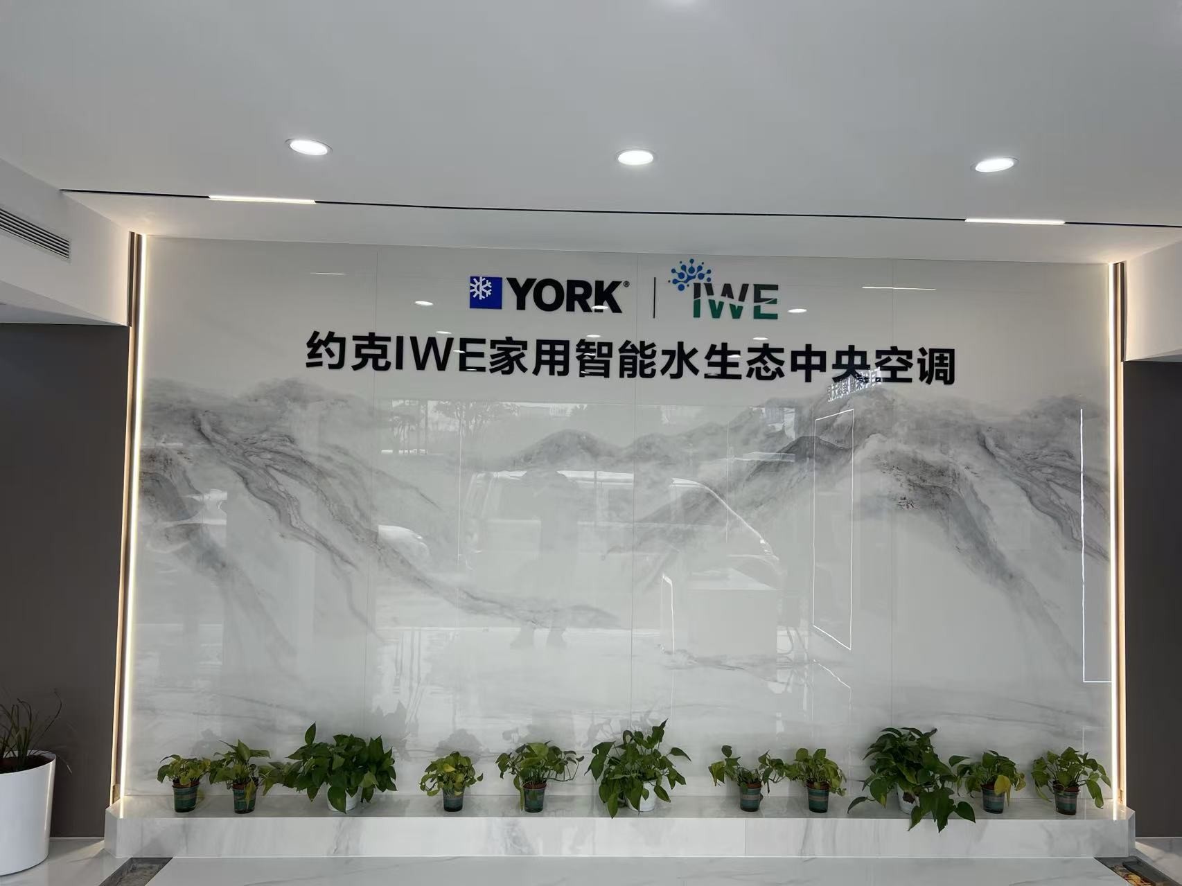 微信图片_2026-07-30_171358_151.jpg