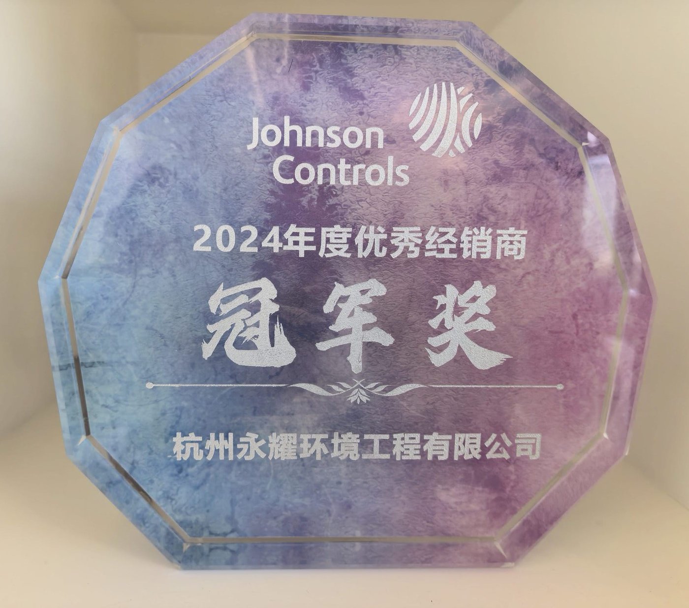 2024 年度优秀经销商冠军奖（江森自控）